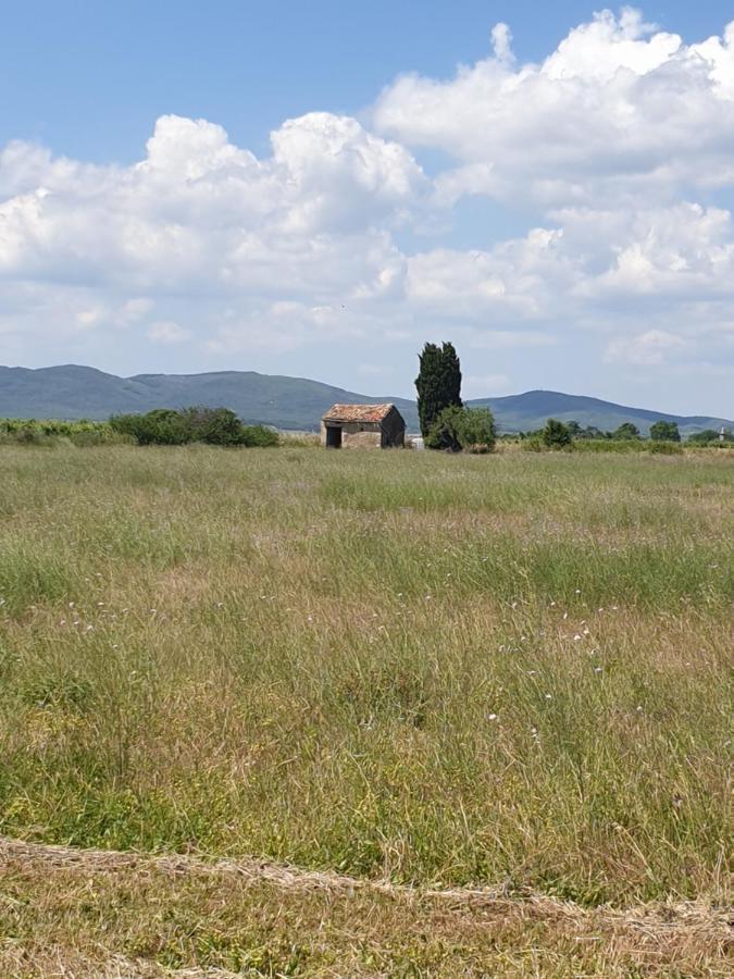 Вилла La Grange Du Cade Magalas Экстерьер фото
